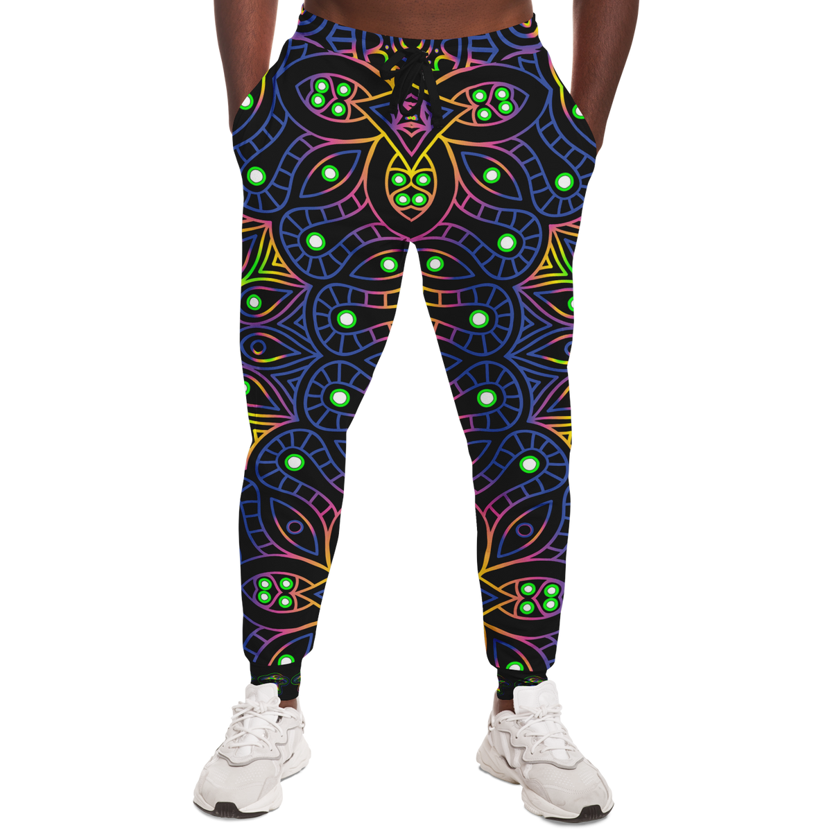 The Galactic Guardian