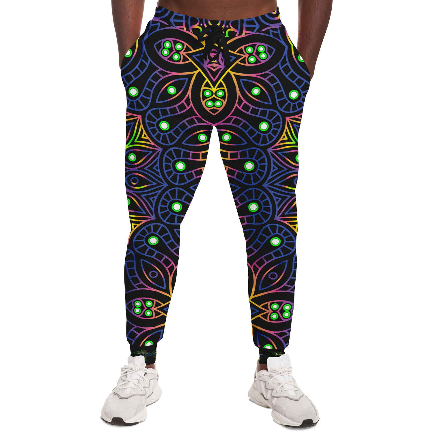 The Galactic Guardian