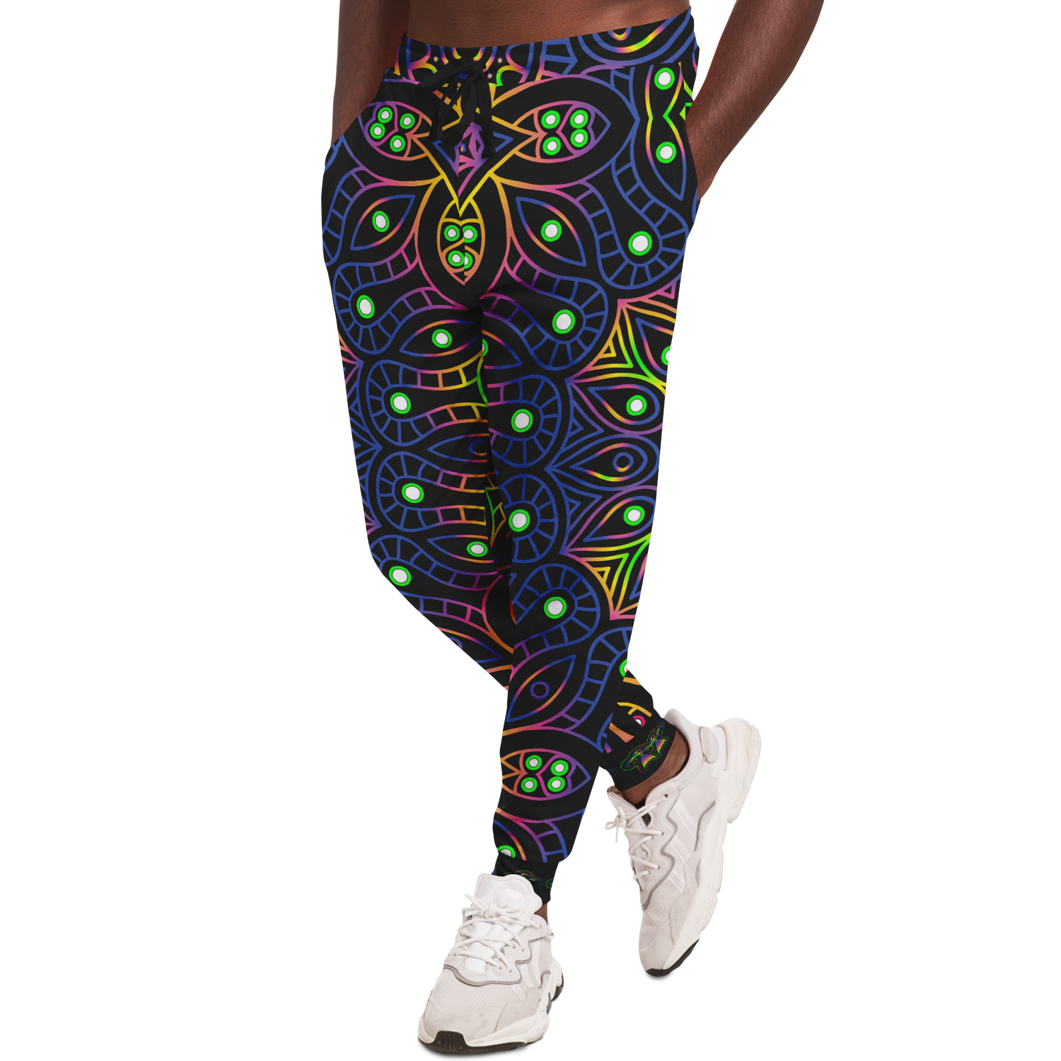 The Galactic Guardian